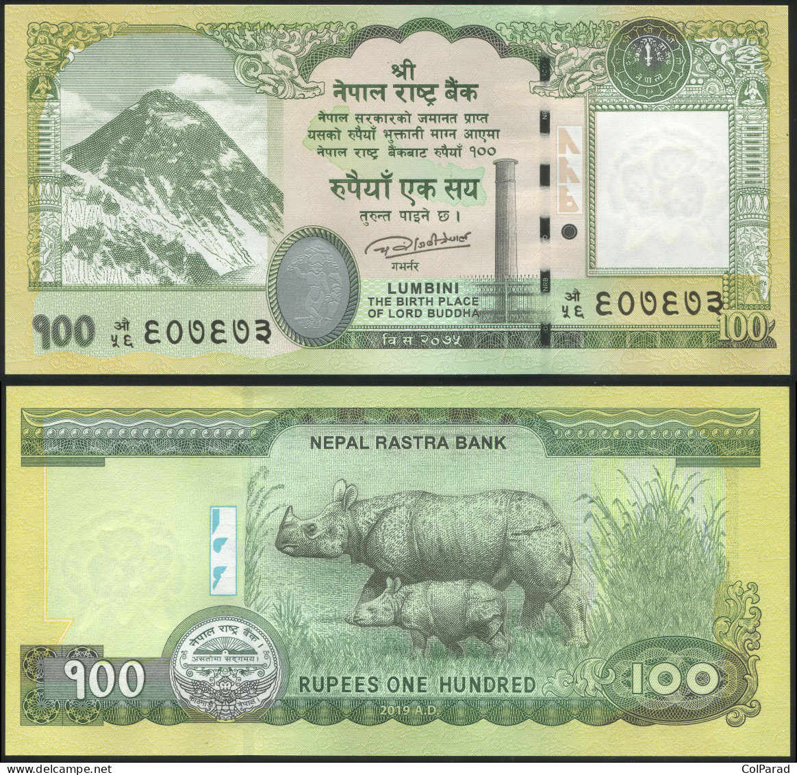 NEPAL 100 RUPEES - 2019 - Paper Unc - P.80b Banknote - Népal