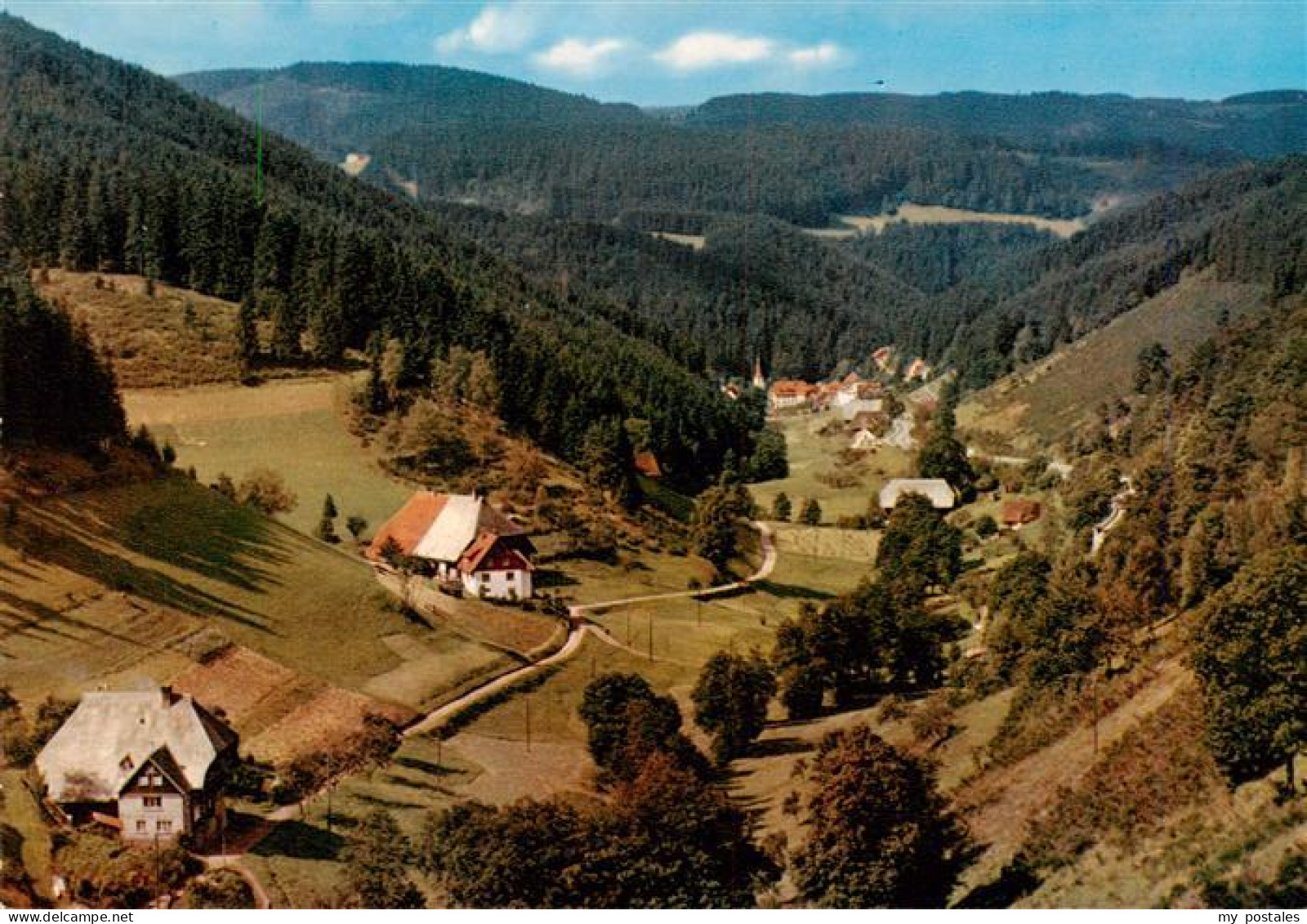 73941857 Triberg Blick Ins Nussbachtal - Triberg