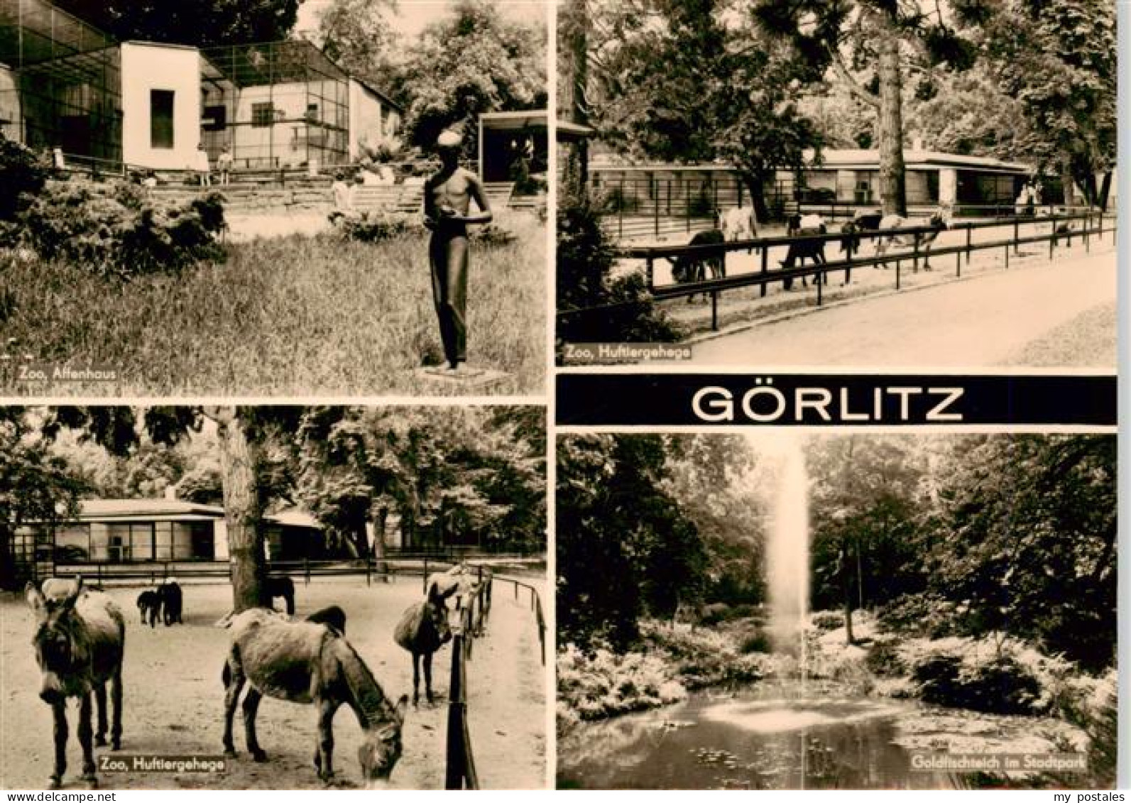 73900817 Goerlitz  Sachsen Zum Affenhaus Zoo Huftiergehege Goldfischteich Im Sta - Görlitz