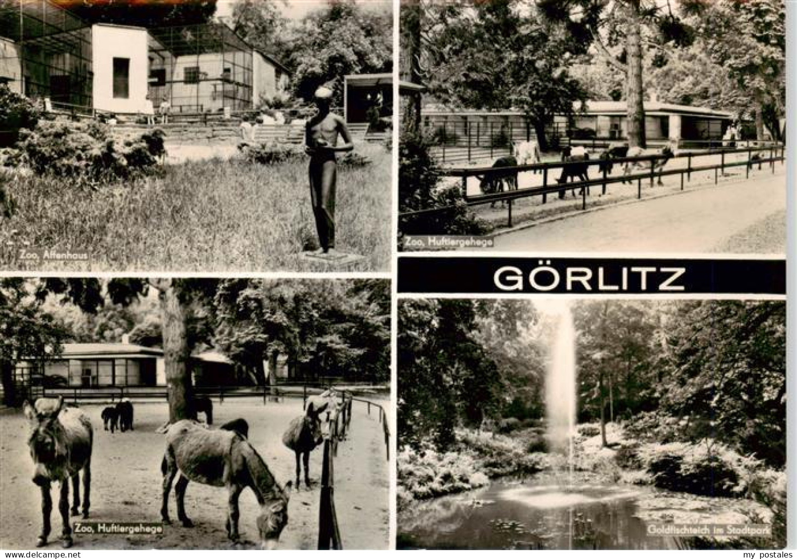73900816 Goerlitz  Sachsen Zum Affenhaus Zoo Huftiergehege Goldfischteich Im Sta - Görlitz