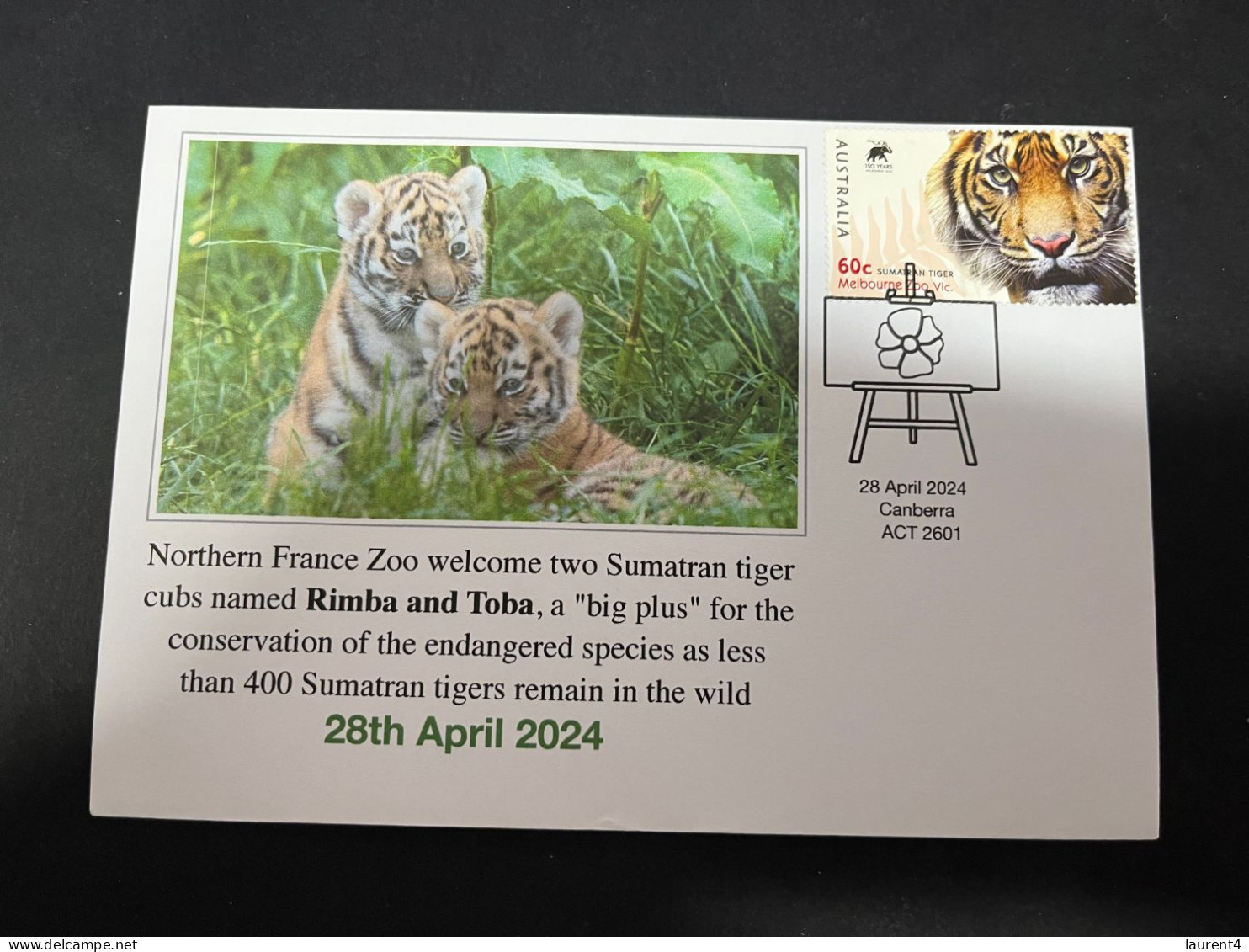 30-4-2024 (3 Z 26) France Zoo Welcmed Two Sumatran Tiger Cubs Name Rimba & Toba (specy Conservation Effort) TIGER Stamp - Other & Unclassified
