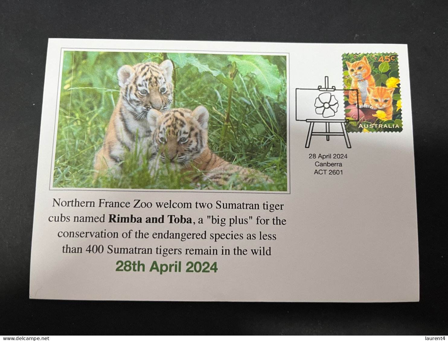 30-4-2024 (3 Z 26) France Zoo Welcmed Two Sumatran Tiger Cubs Name Rimba & Toba (specy Conservation Effort) Cats Stamp - Autres & Non Classés