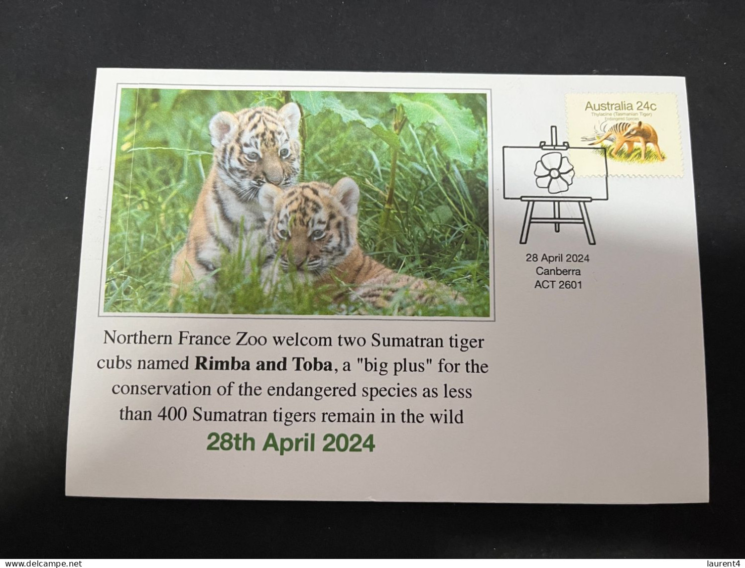 30-4-2024 (3 Z 26) France Zoo Welcmed Two Sumatran Tiger Cubs Name Rimba & Toba (specy Conservation Effort) OZ Stamp - Otros & Sin Clasificación