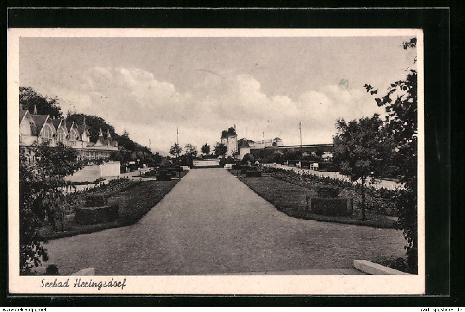 AK Heringsdorf, Blick Die Allee Lang Auf Das Seebad  - Other & Unclassified