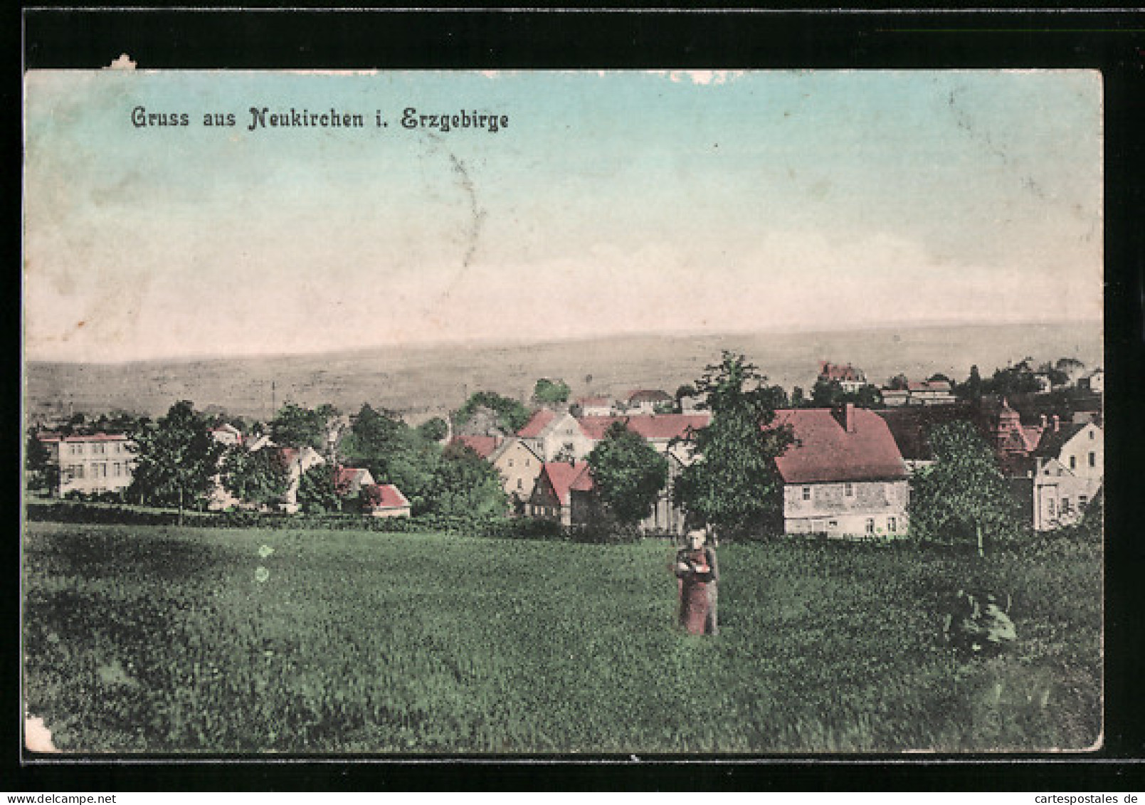 AK Neukirchen I. Erzgebirge, Blick über Wiesen Auf Den Ort  - Neukirch (Lausitz)