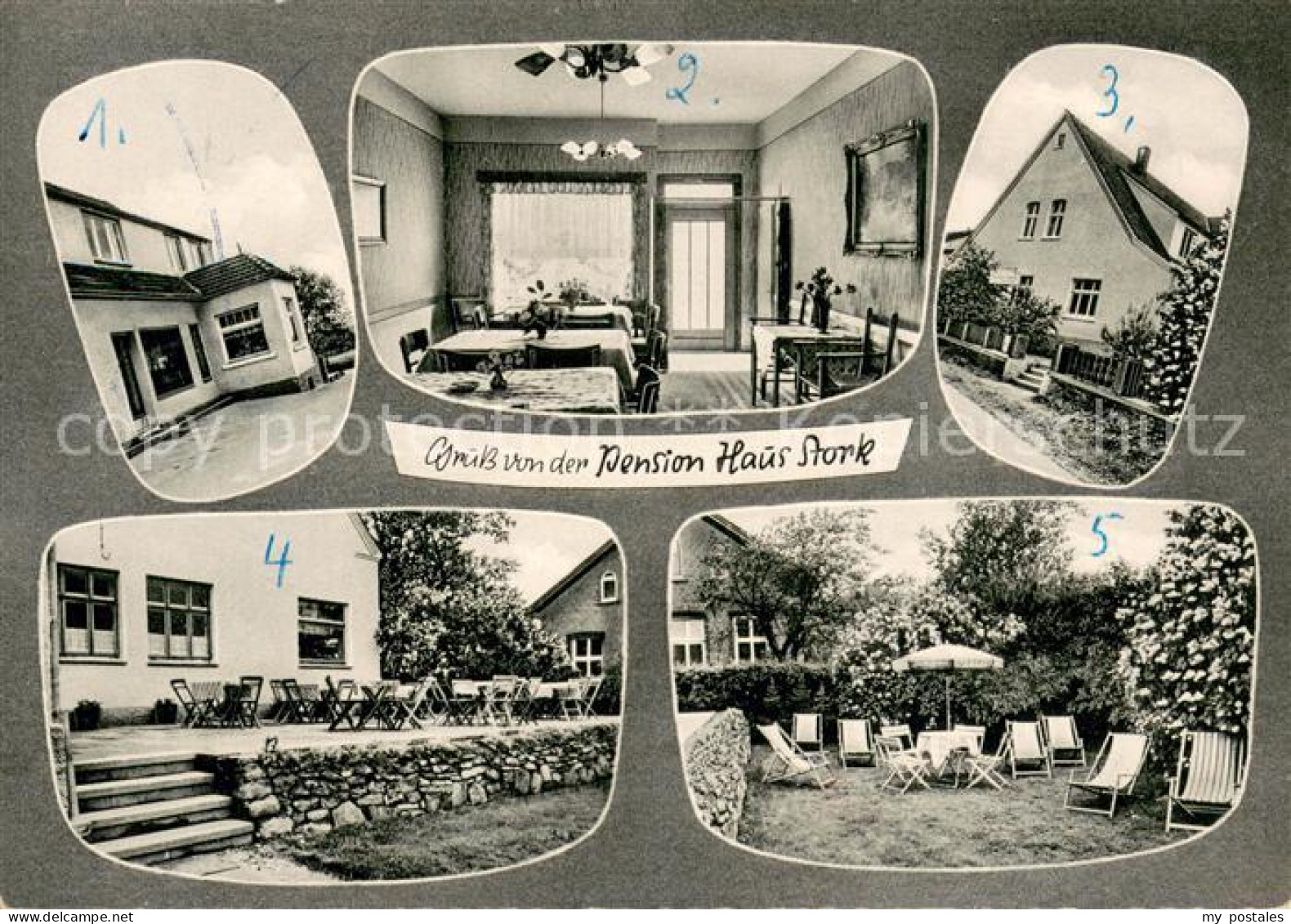 73704260 Holzhausen Luebbecke Pension Haus Stork Innen Und Aussen Holzhausen Lue - Getmold