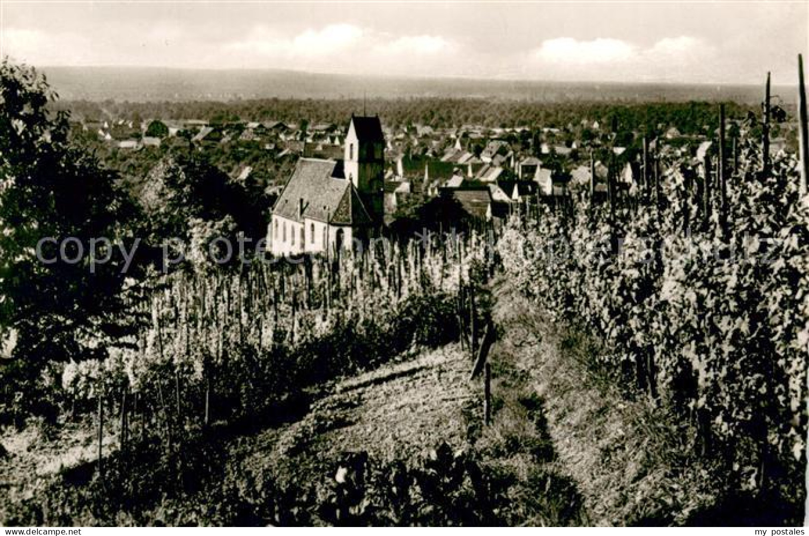 73704142 Haltingen Panorama Mit Kirche Haltingen - Weil Am Rhein