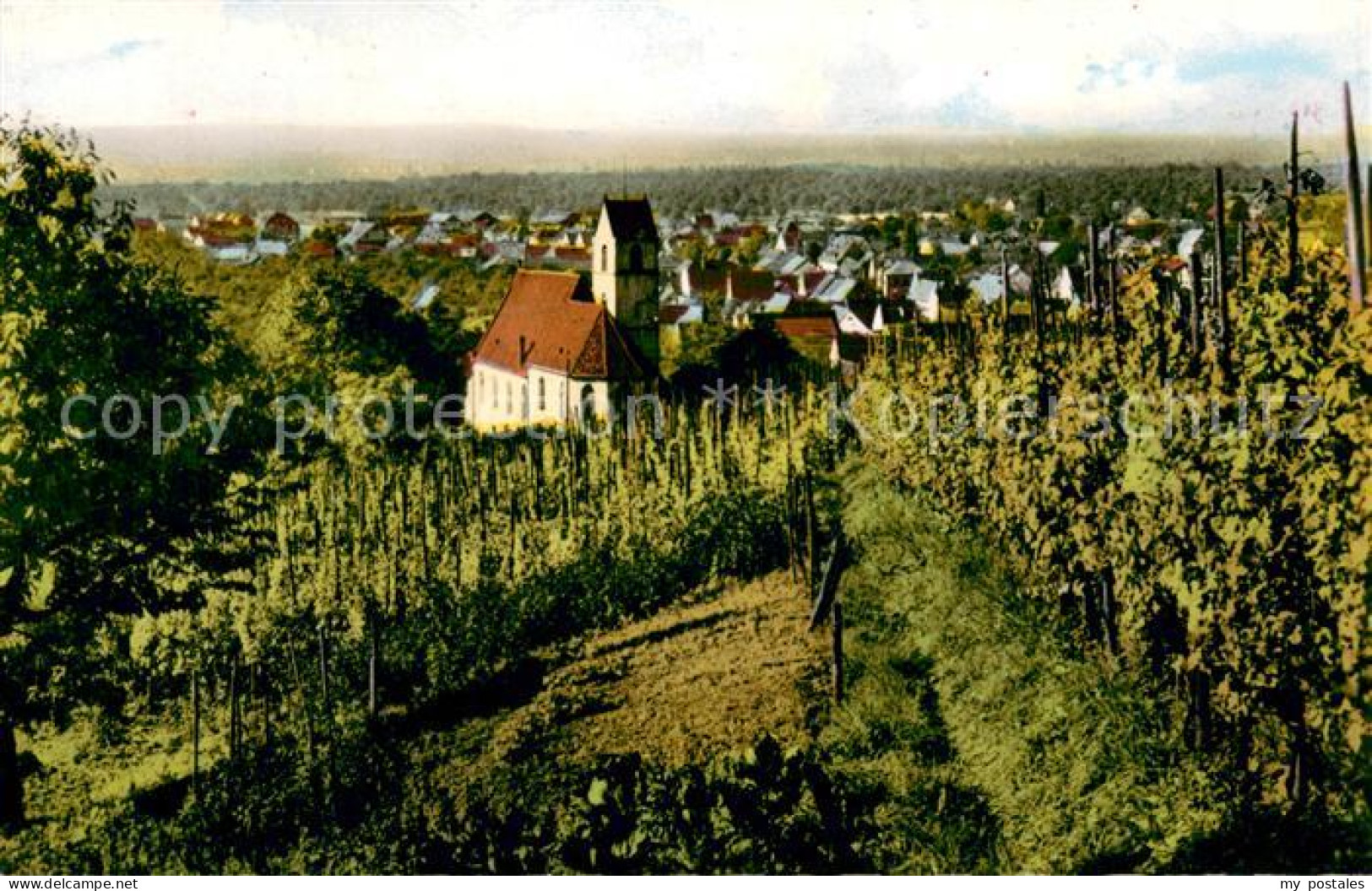 73704139 Haltingen Panorama Kapelle Haltingen - Weil Am Rhein