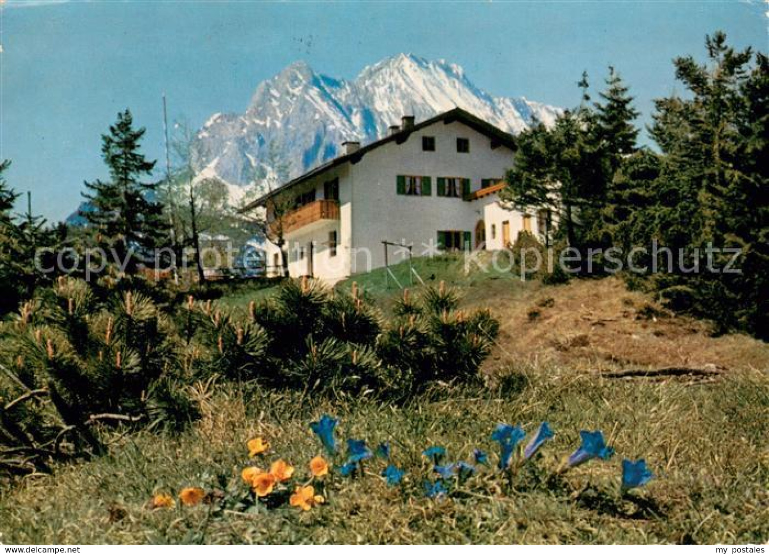 73704107 St Anton Kranzberg Berghaus Gegen Wettersteinspitze Enzian Huber Postka - Garmisch-Partenkirchen