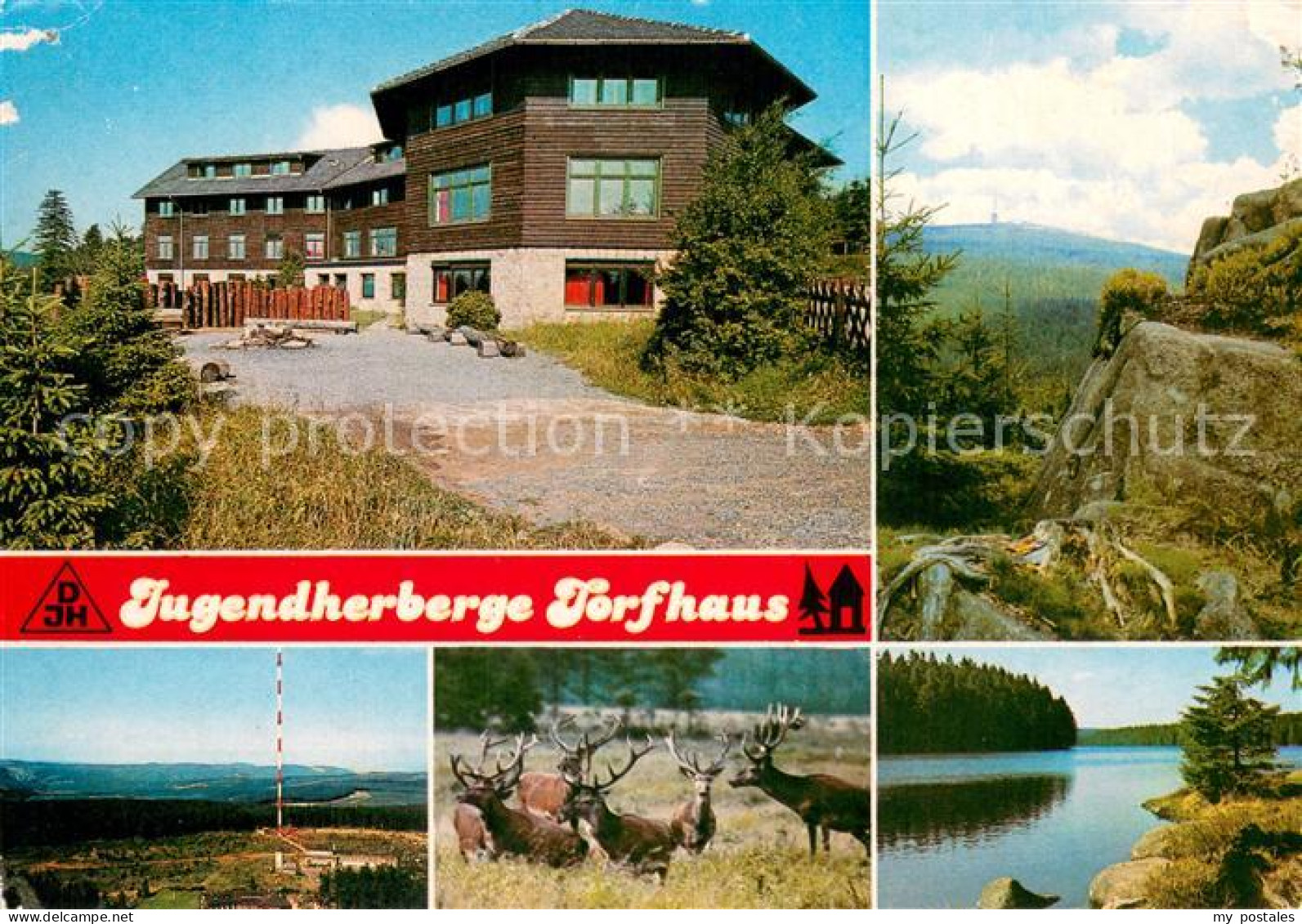 73704091 Torfhaus Harz Jugendherberge Landschaftspanorama See Wild Hirsche Torfh - Altenau