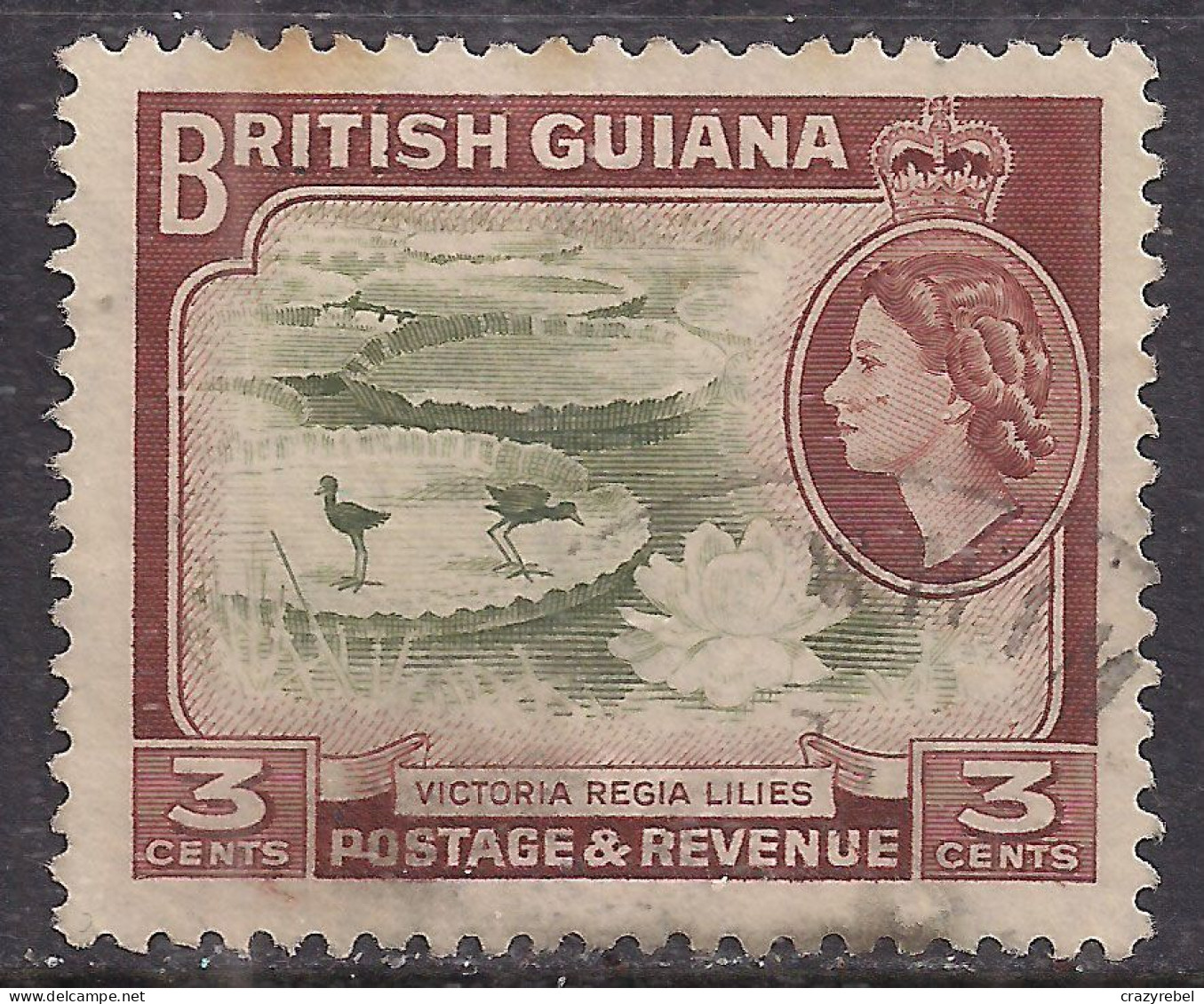 British Guiana 1954 - 63 QE2 3 Ct Water Lilies Used SG 333 ( L377 ) - Guayana Británica (...-1966)