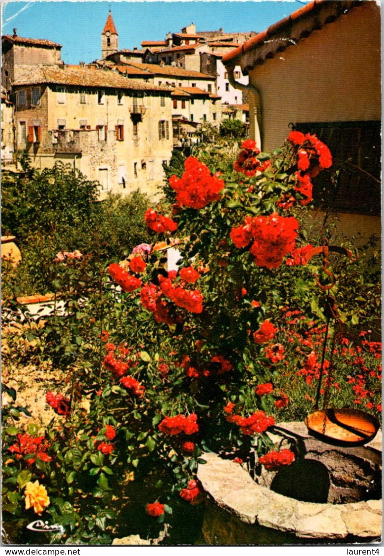 30-4-2024 (3 Z 28) France - Fleurs Et Puit Sur La Côte D'Azur - Blumen