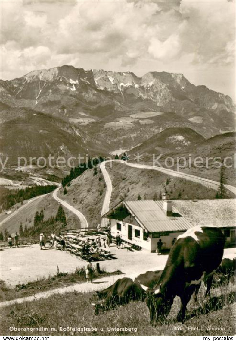 73686950 Oberahornalm Berchtesgaden Rossfeldstrasse Und Untersberg Alpen  - Berchtesgaden