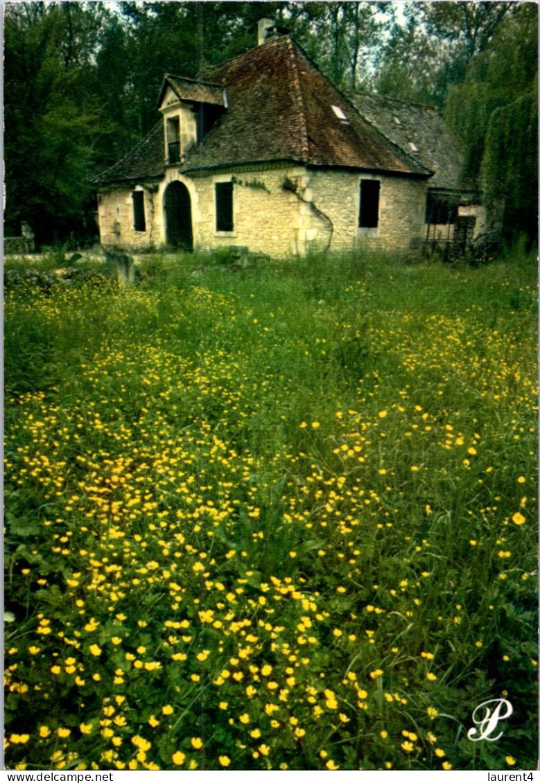 30-4-2024 (3 Z 28) France - Dordogne (et Fleurs) - Flowers