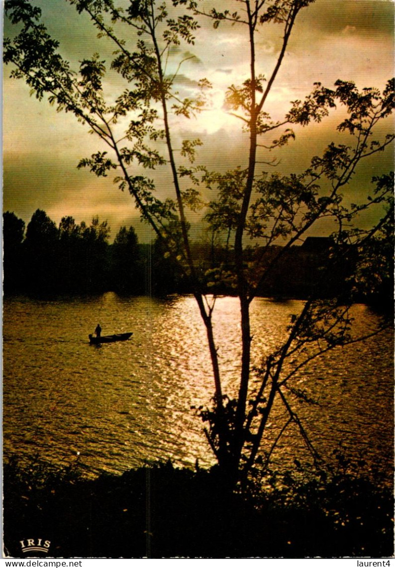 30-4-2024 (3 Z 28) France - Dordogne (et Arbres) - Bomen