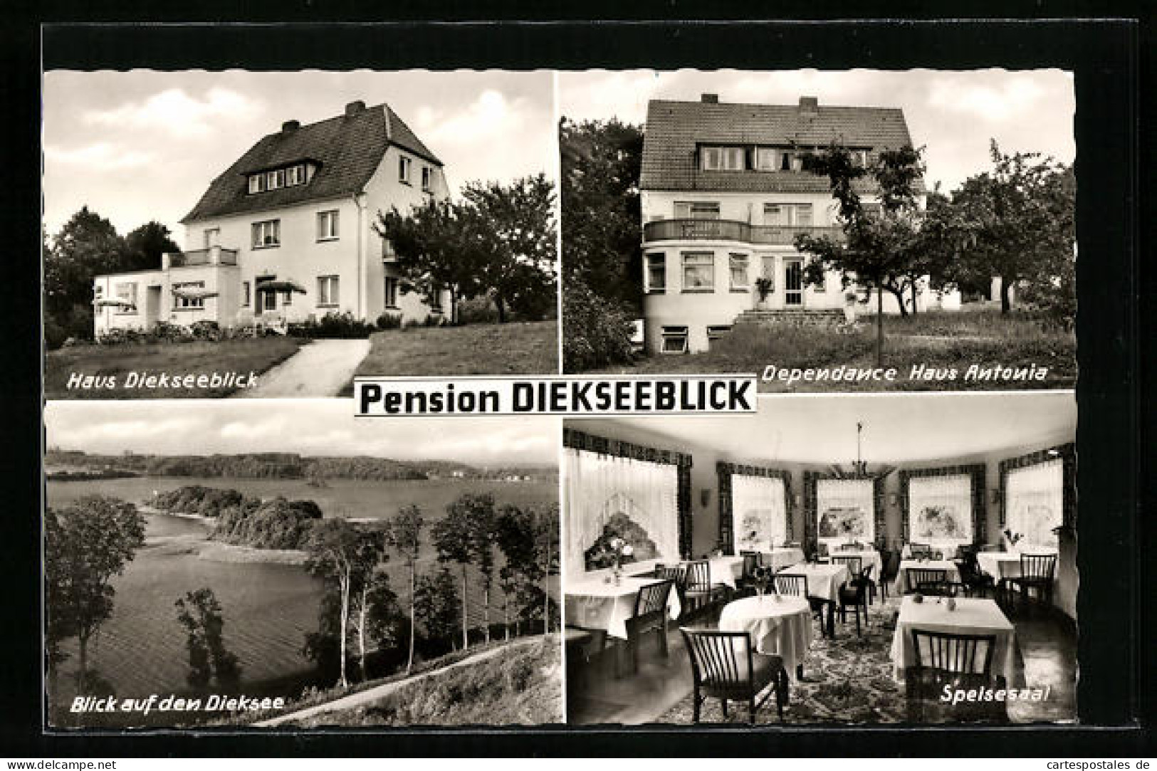 AK Malente-Gremsmühlen, Hotel-Pension Diekseeblick, Blick Auf Den Dieksee  - Malente-Gremsmuehlen