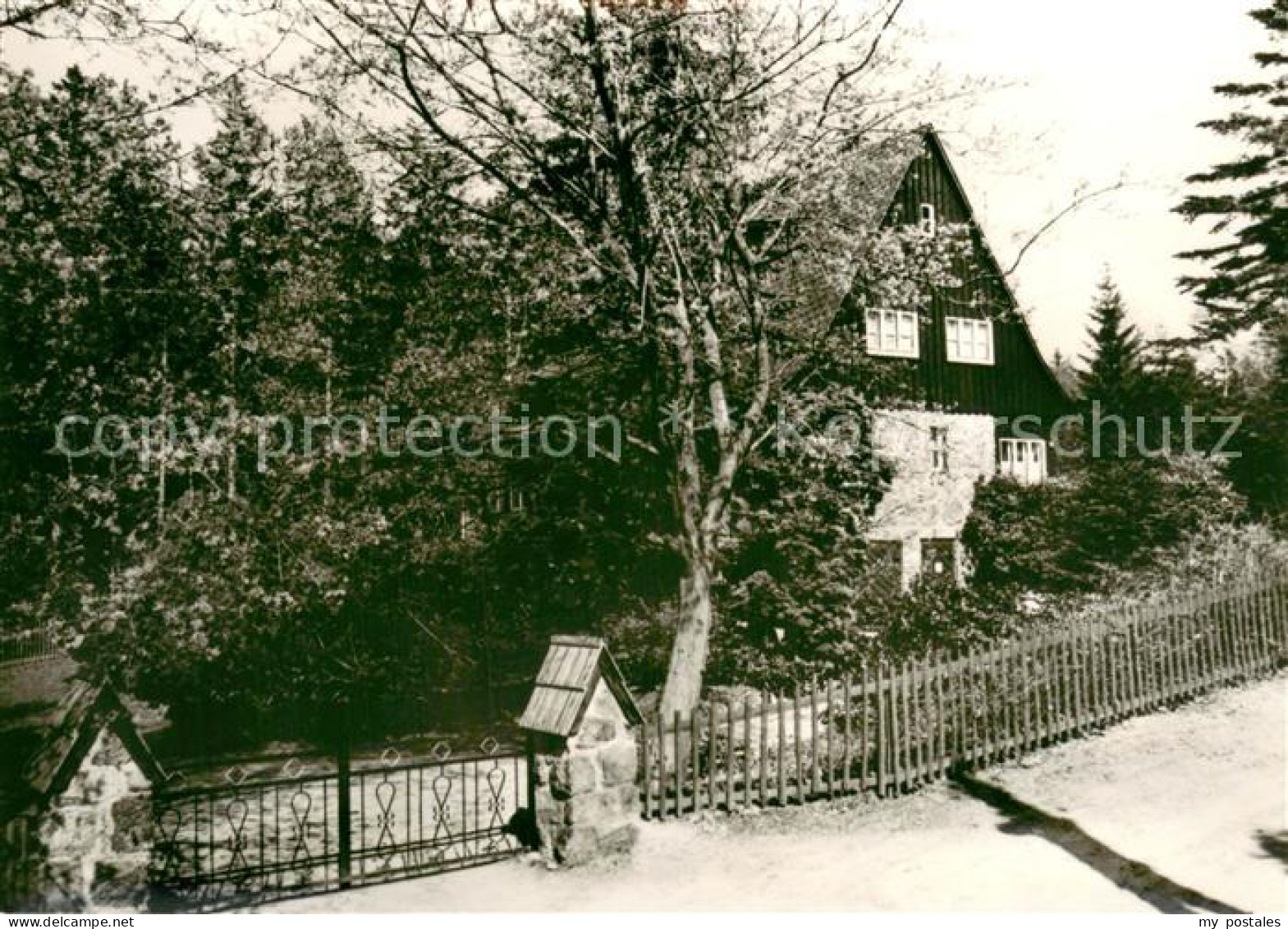 73686285 Waldidylle Ferienheim Des VEB Transformatoren- Und Roentgenwerk Hermann - Altenberg