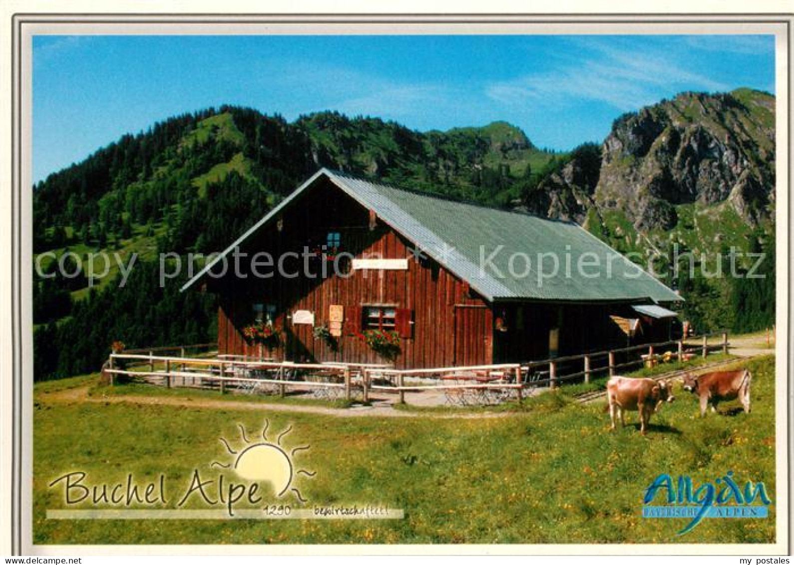 73686141 Unterjoch Buchel Alpe Unterjoch - Hindelang
