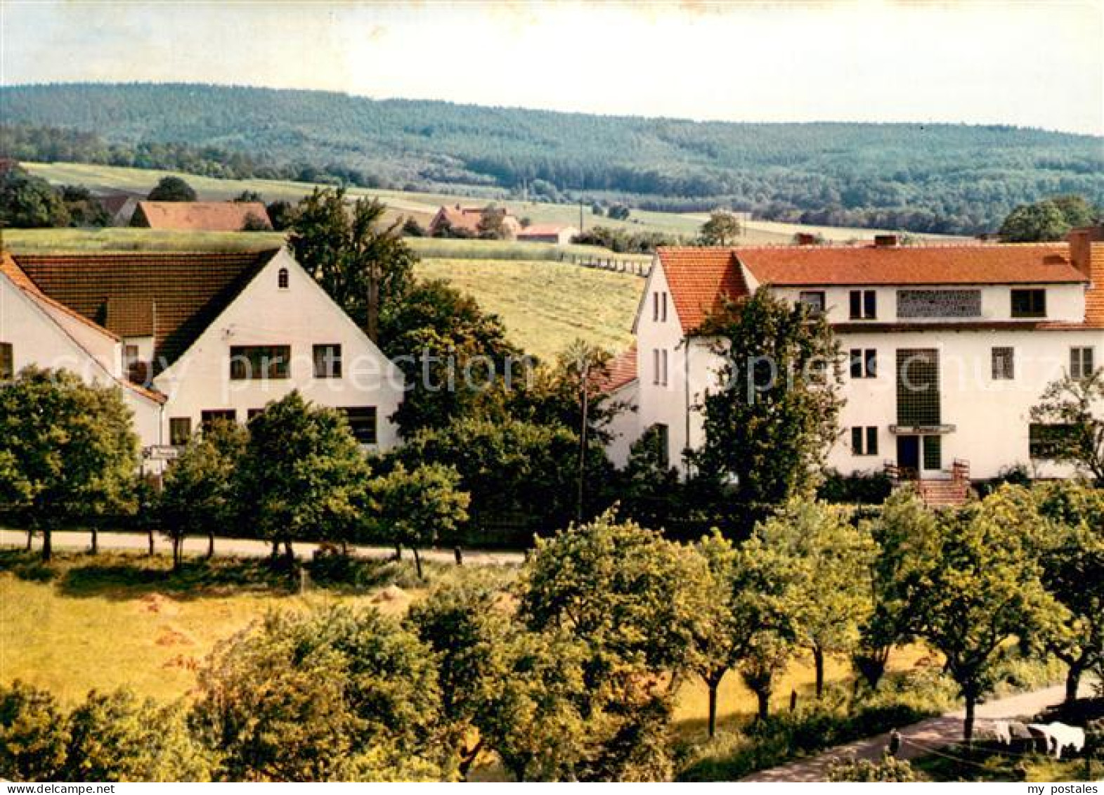 73686123 Bad Holzhausen Luebbecke Pension Storck Und Haus Anneli Bad Holzhausen  - Getmold