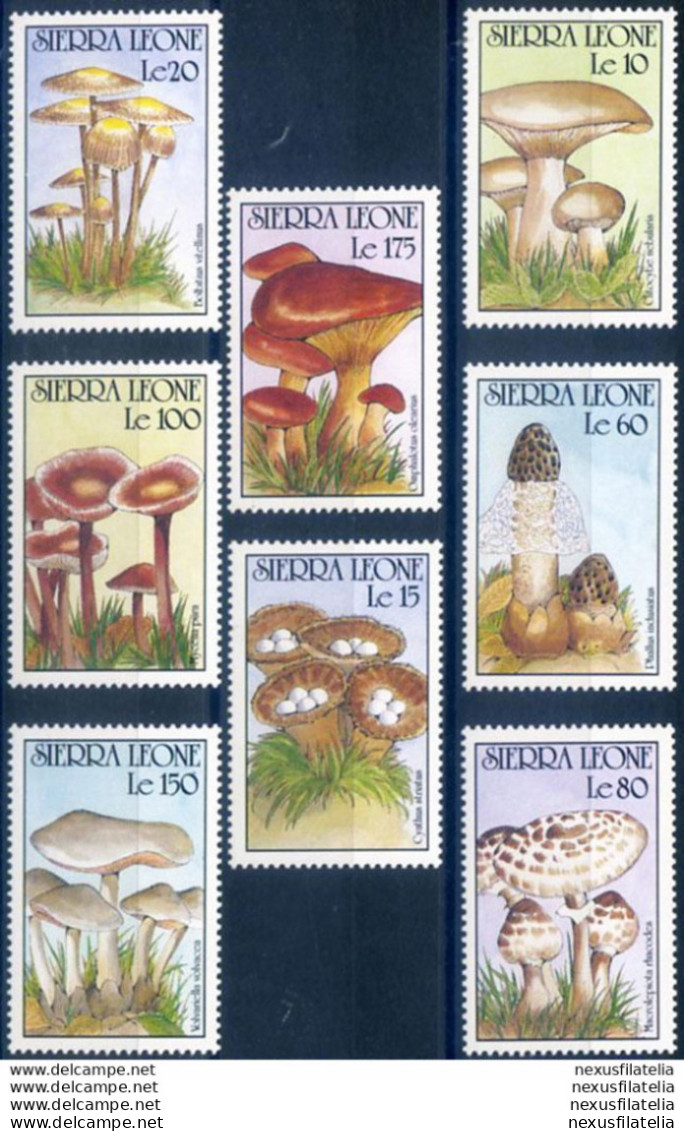 Flora. Funghi 1991. - Sierra Leone (1961-...)