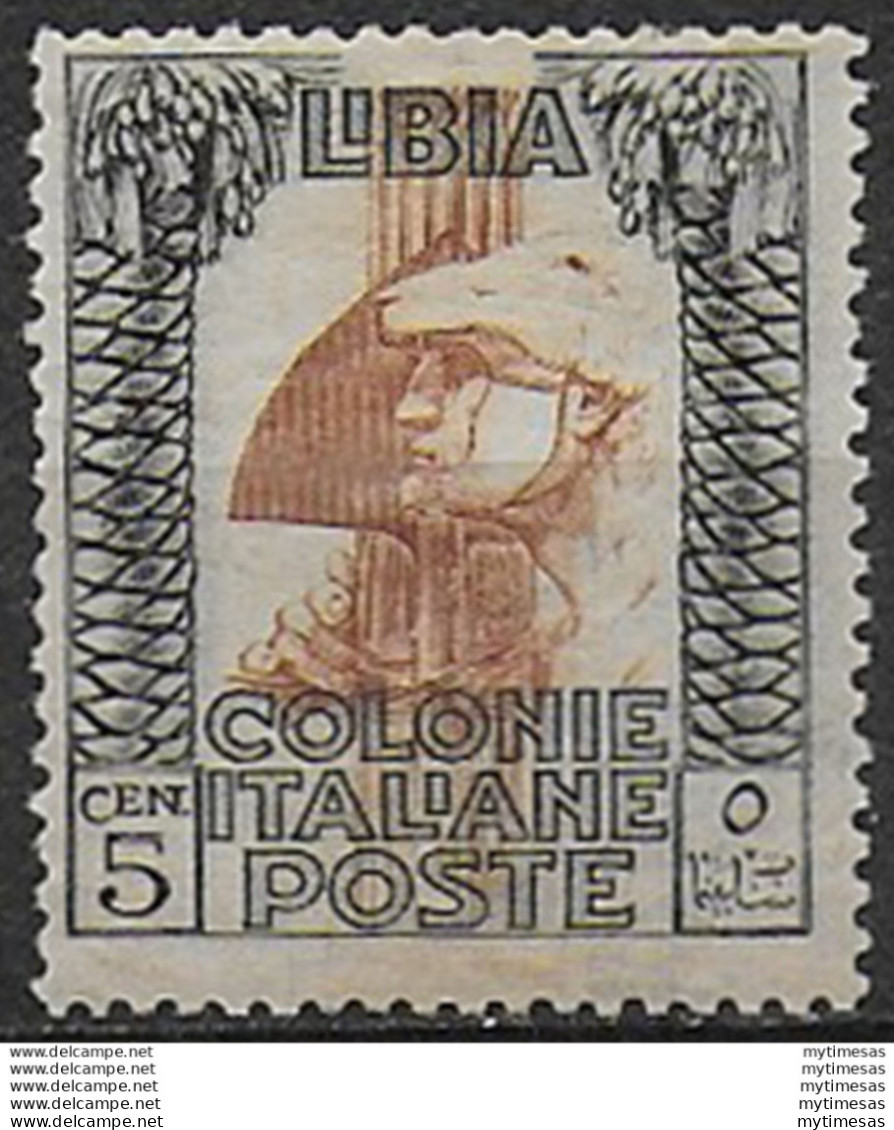 1921 Libia 5c. Nero E Rosso Bruno MNH Sassone N. 23A - Andere & Zonder Classificatie