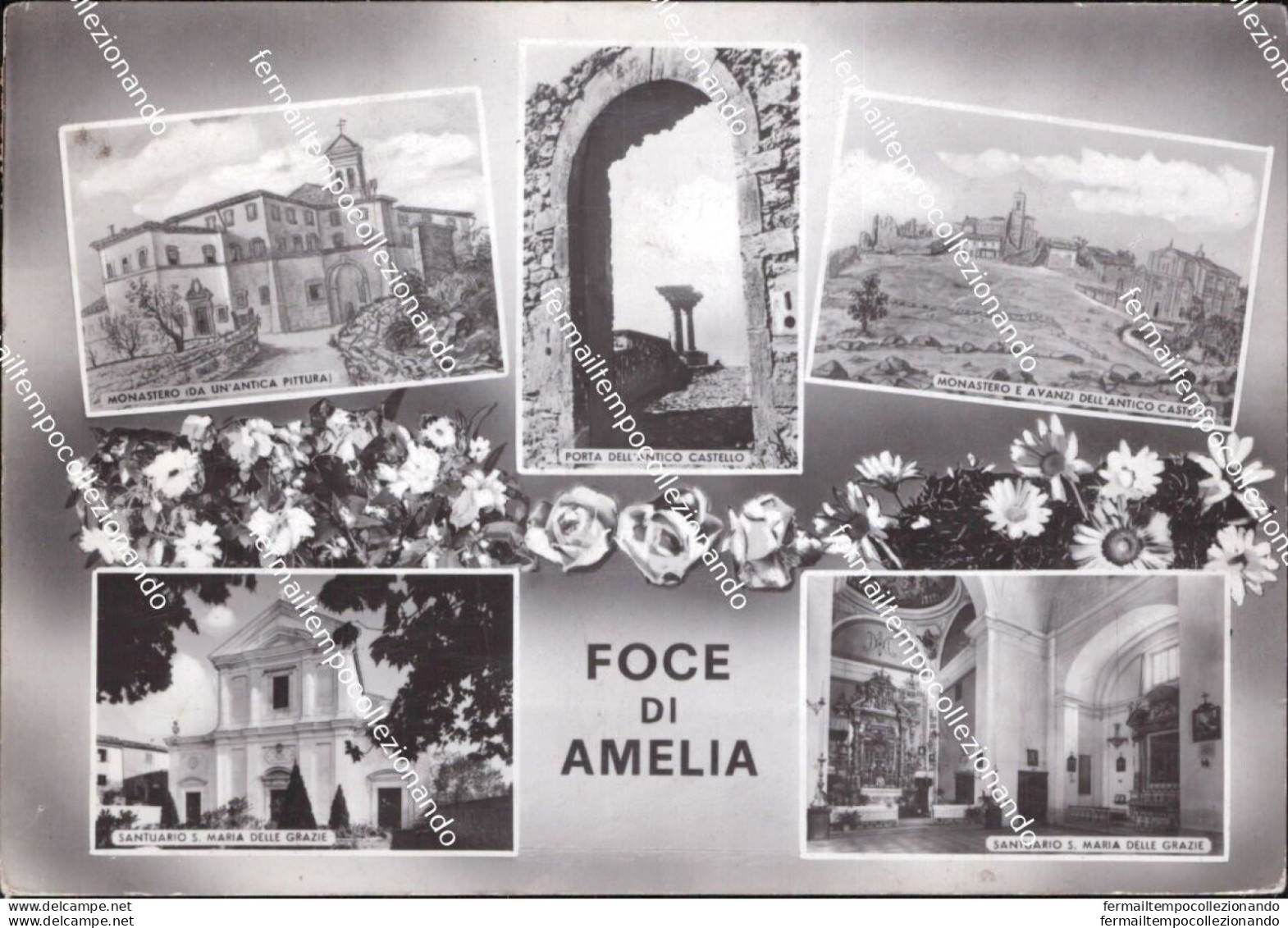 Al803 Cartolina Foce Di Amelia Provincia Di Terni Umbria - Terni