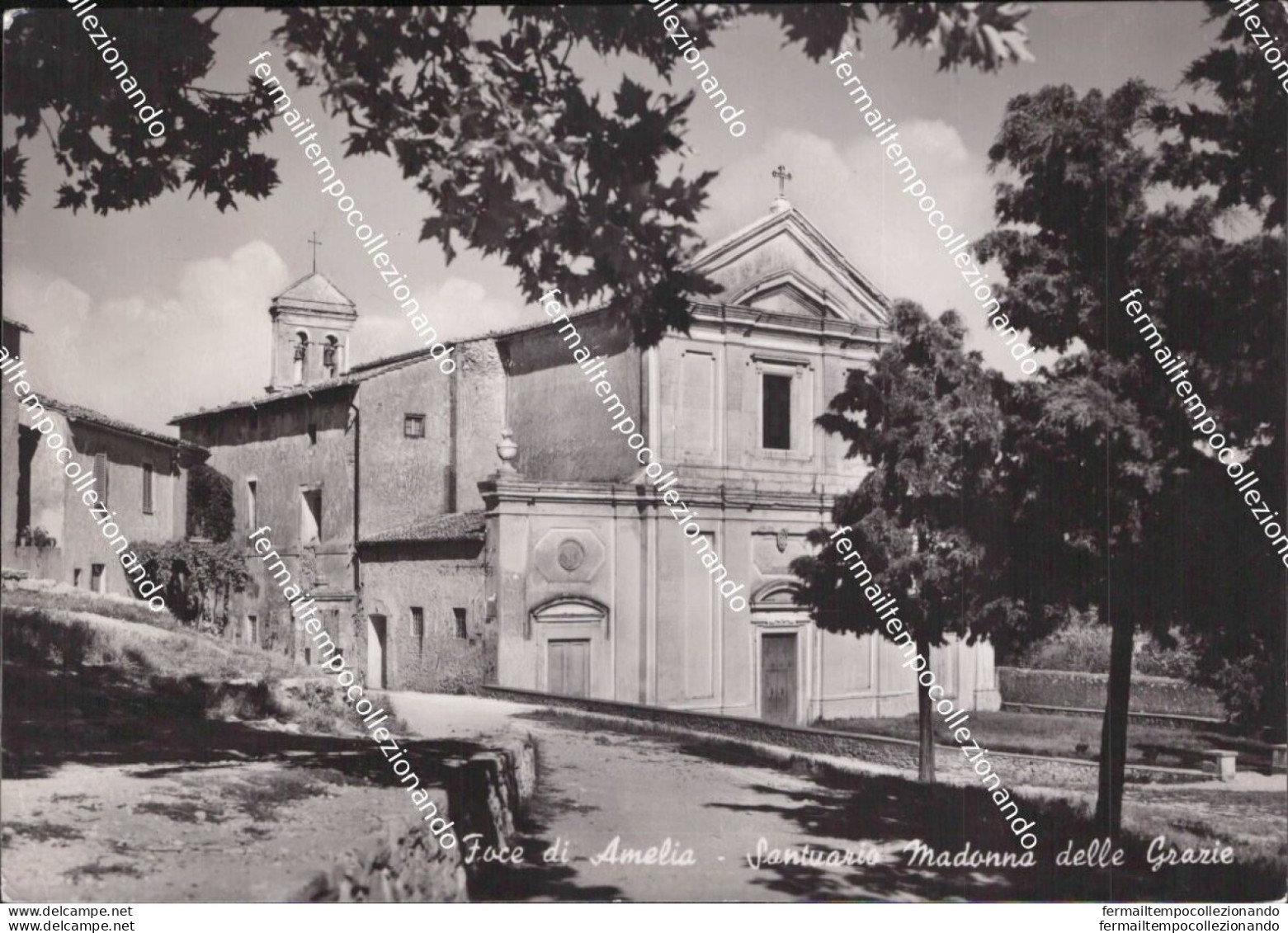 Al812 Cartolina Foce Di Amelia Santuario Madonna Delle Grazie Terni - Terni