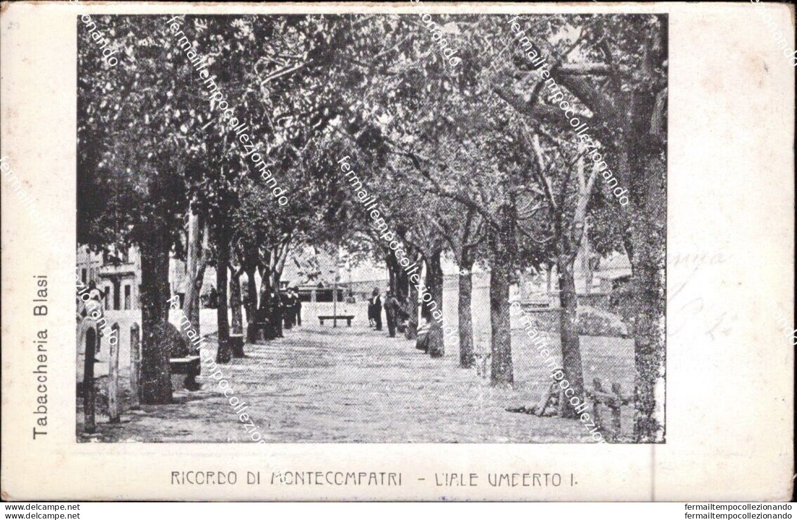 Ba678 Cartolina Ricordo Di Montecompatri Viale Umberto I Provincia Di Roma Lazio - Otros & Sin Clasificación