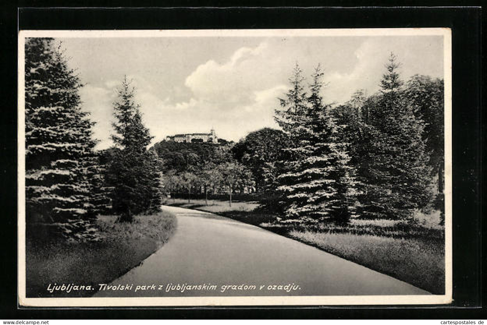 AK Ljubljana, Tivolski Park Z Ljubljanskim Gradom V Ozadju  - Slovénie