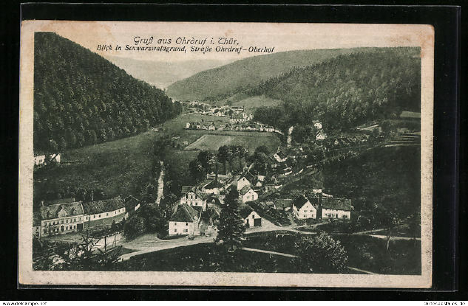 AK Ohrdruf I. Thür., Blick In Den Schwarzwaldgrund Mit Strasse Ohrdruf-Oberhof  - Oberhof