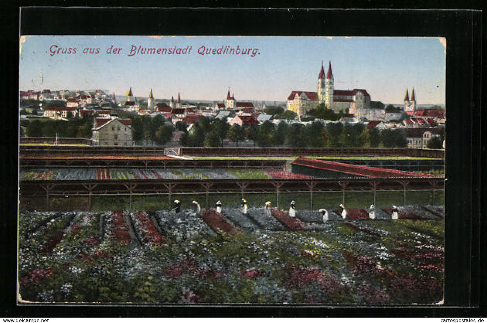 AK Quedlinburg, Totalansicht Mit Blumenfeldern  - Quedlinburg