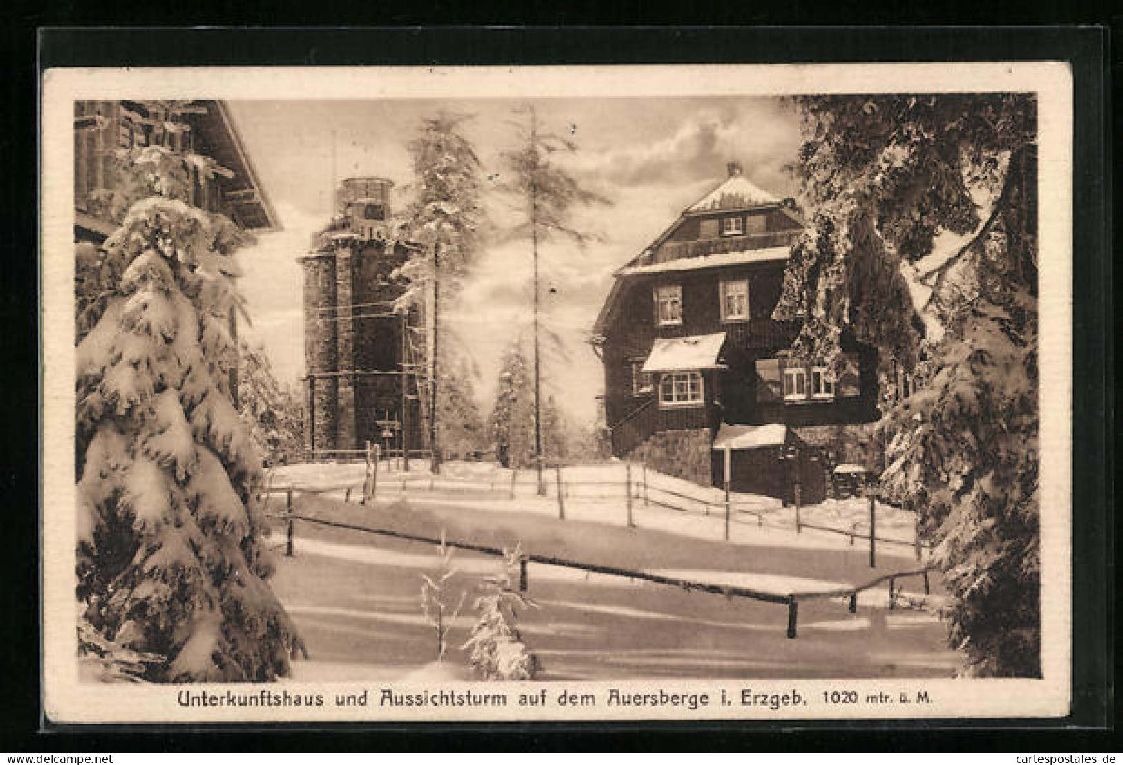 AK Wildenthal / Erzgebirge, Gasthaus Und Aussichtsturm Auf Dem Auersberge Im Winter  - Auersberg