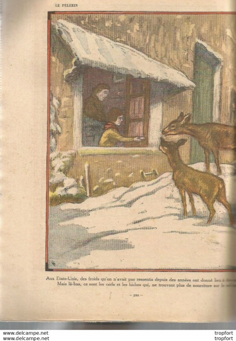 P3 / Old Newspaper Journal Ancien 1936 / Portugais PORTUGAL / Dakar Gorée BAOULES / USA Froid Cerfs Biches - 1950 à Nos Jours