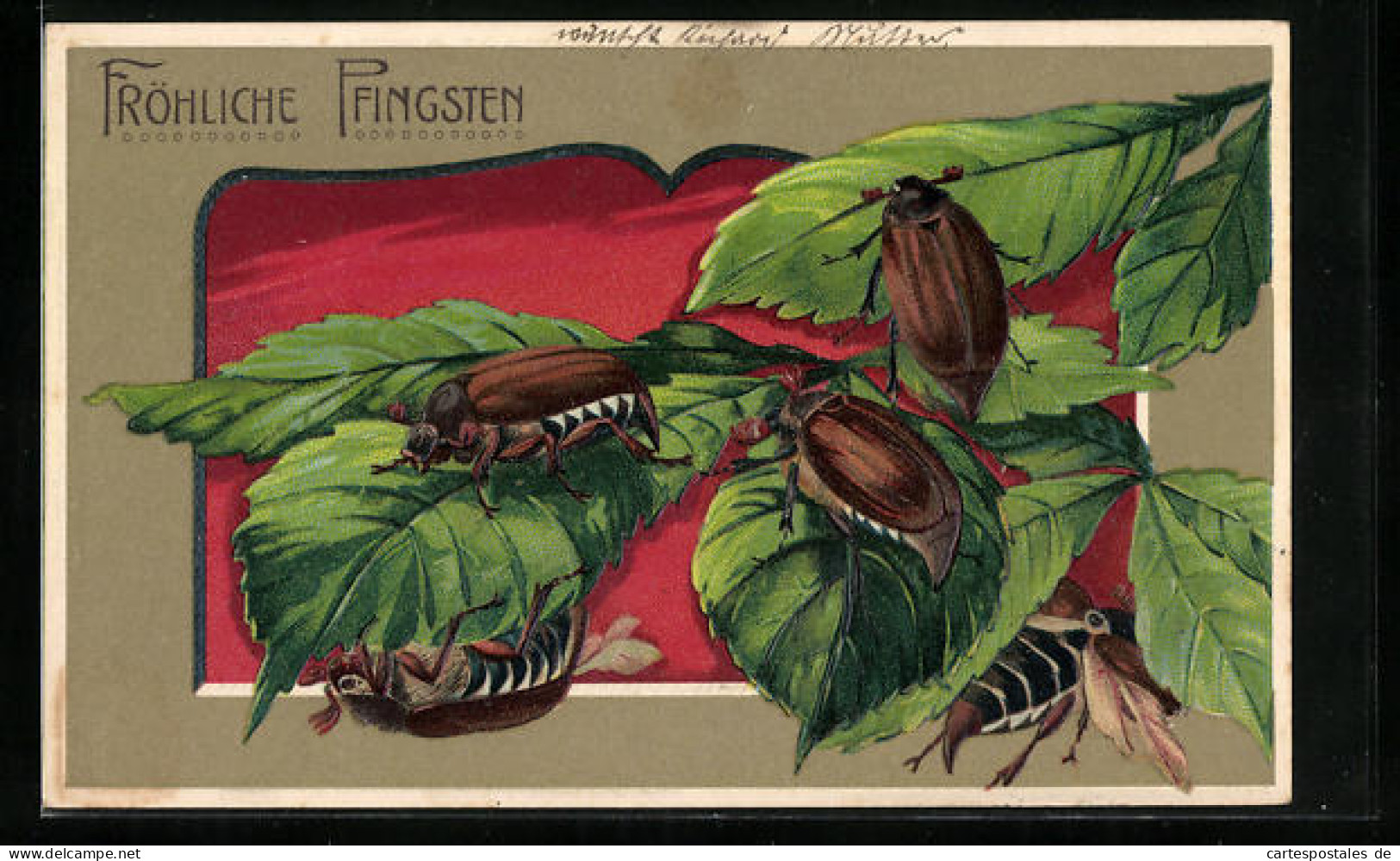 Präge-Lithographie Fünf Maikäfer Auf Blättern, Pfingstgruss  - Insekten