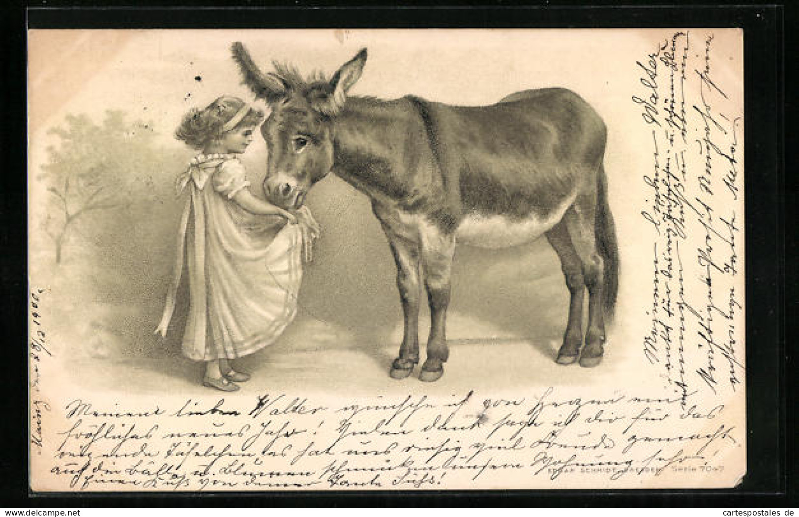 Präge-Lithographie Kleines Mädchen Lässt Esel Aus Seiner Schürze Fressen  - Donkeys