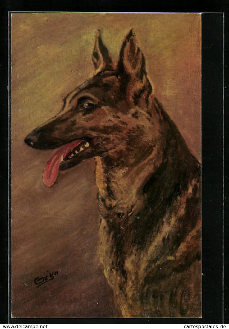 AK Portrait Eines Schäferhundes Mit Hängender Zunge  - Hunde
