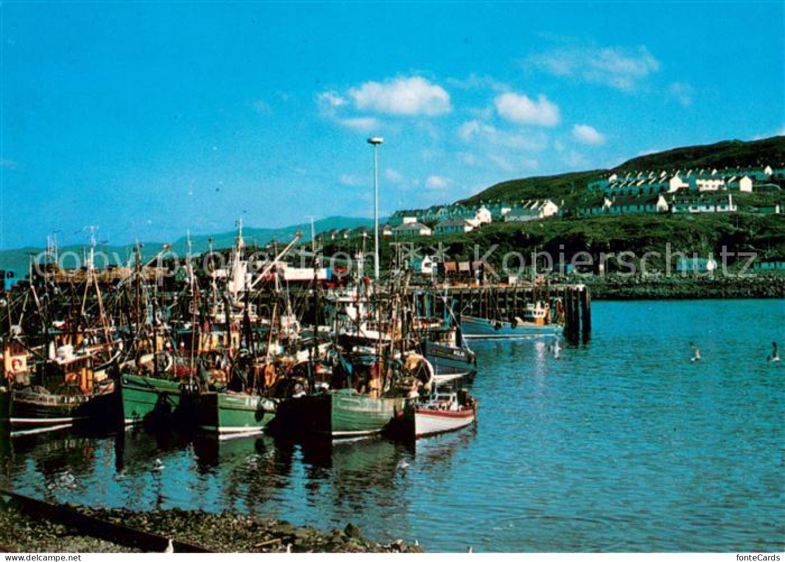 73631358 Mallaig Small Isles Harbour  - Altri & Non Classificati