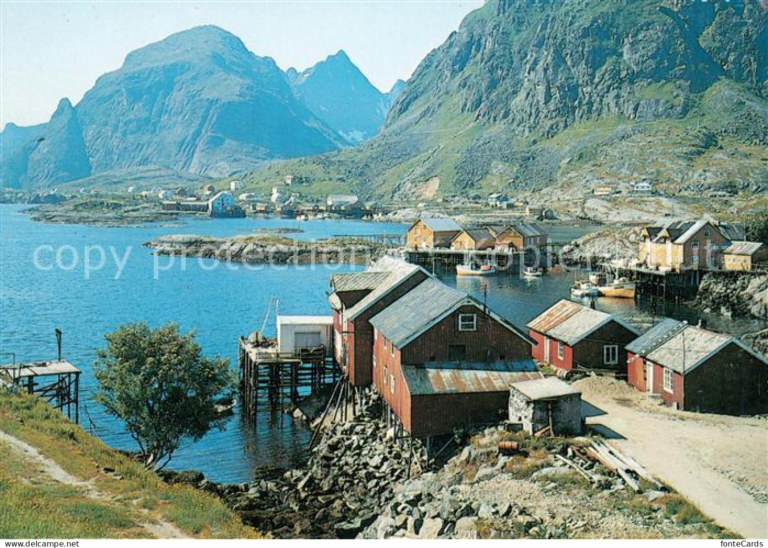73625250 Tind Lofoten Panorama  - Norway