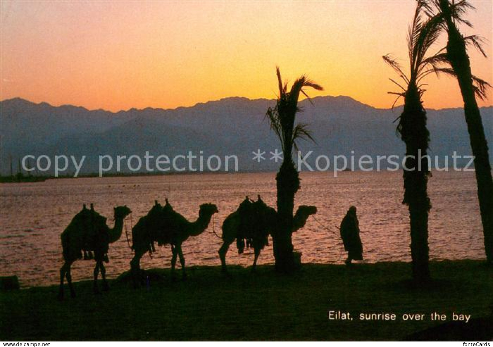 73622479 Eilat Sunrise Over The Bay Eilat - Israel