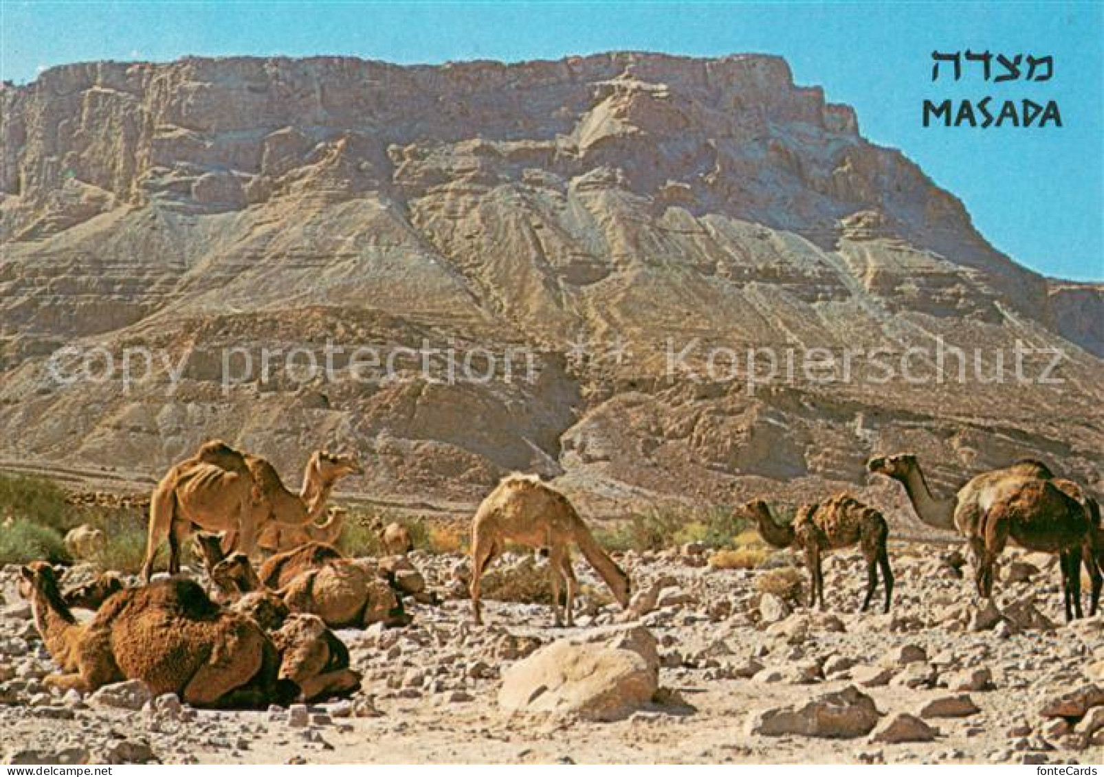 73622475 Masada Ruins Of A Fortress At The Dead Sea Masada - Israel