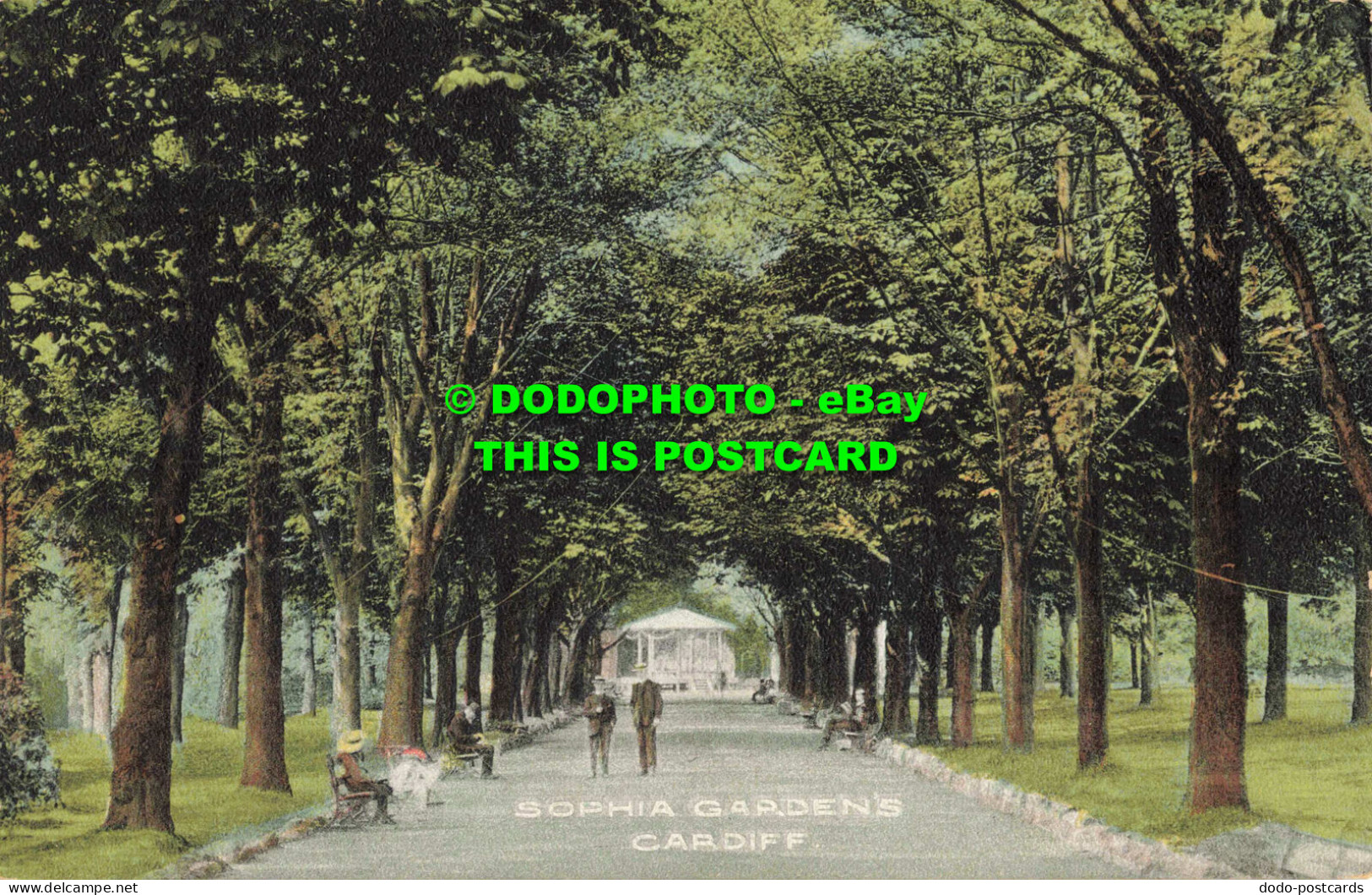 R556332 Cardiff. Sophia Gardens. Postcard - Monde