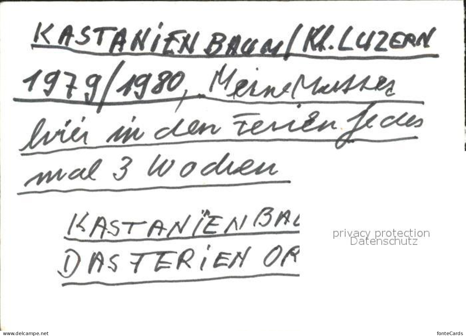 12114034 Kastanienbaum Teilansichten Vierwaldstaettersee Kastanienbaum - Sonstige & Ohne Zuordnung