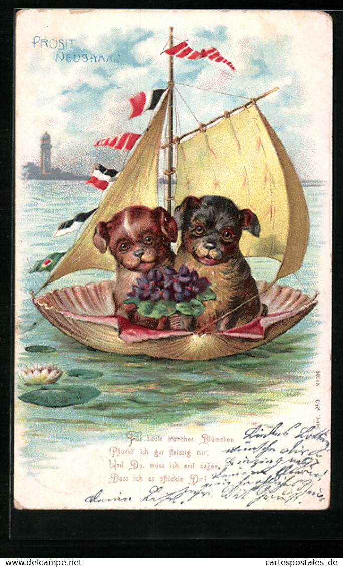 Lithographie Zwei Kleine Hunde Auf Einer Segeljolle  - Dogs