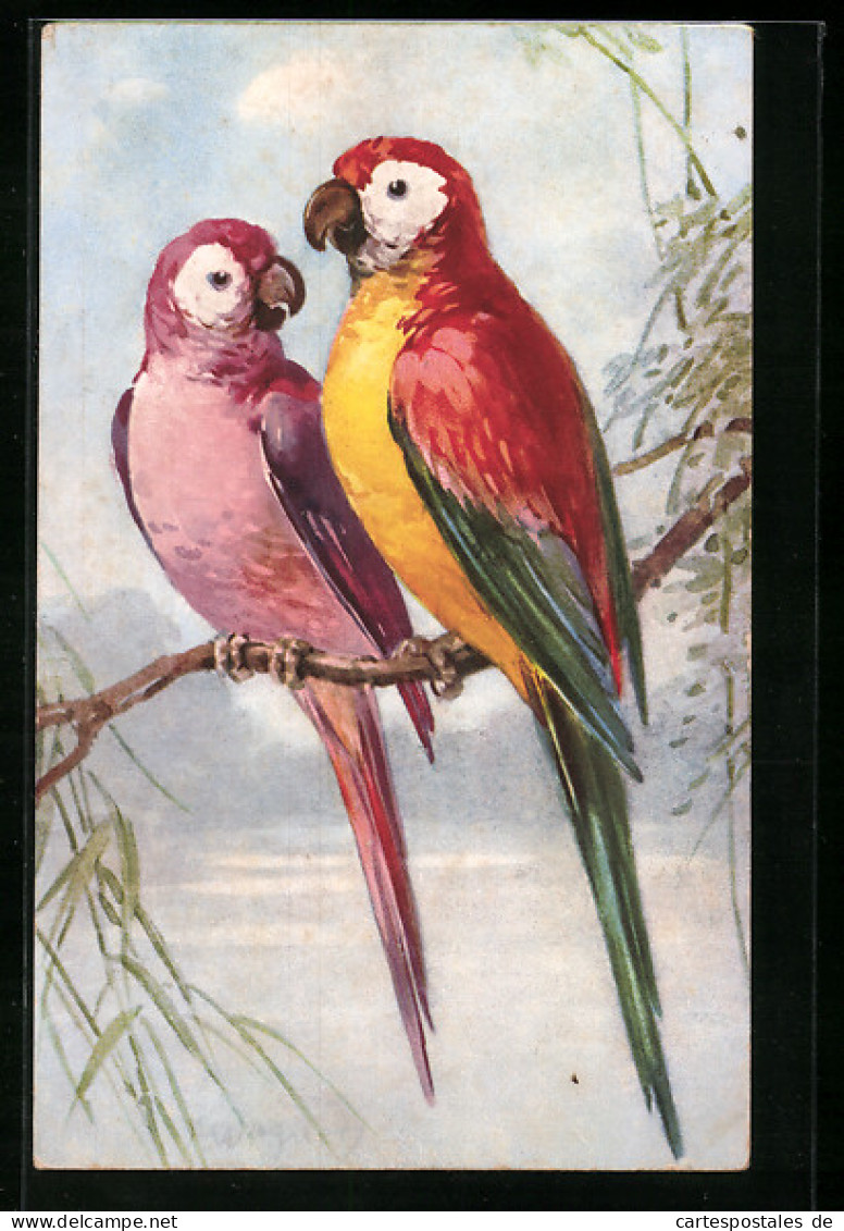 AK Papageienpaar Auf Einem Ast  - Birds