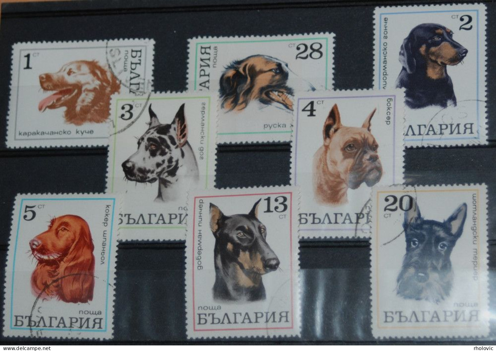 BULGARIA 1970, Dogs, Animals, Fauna, Mi #2021-8, Used - Chiens