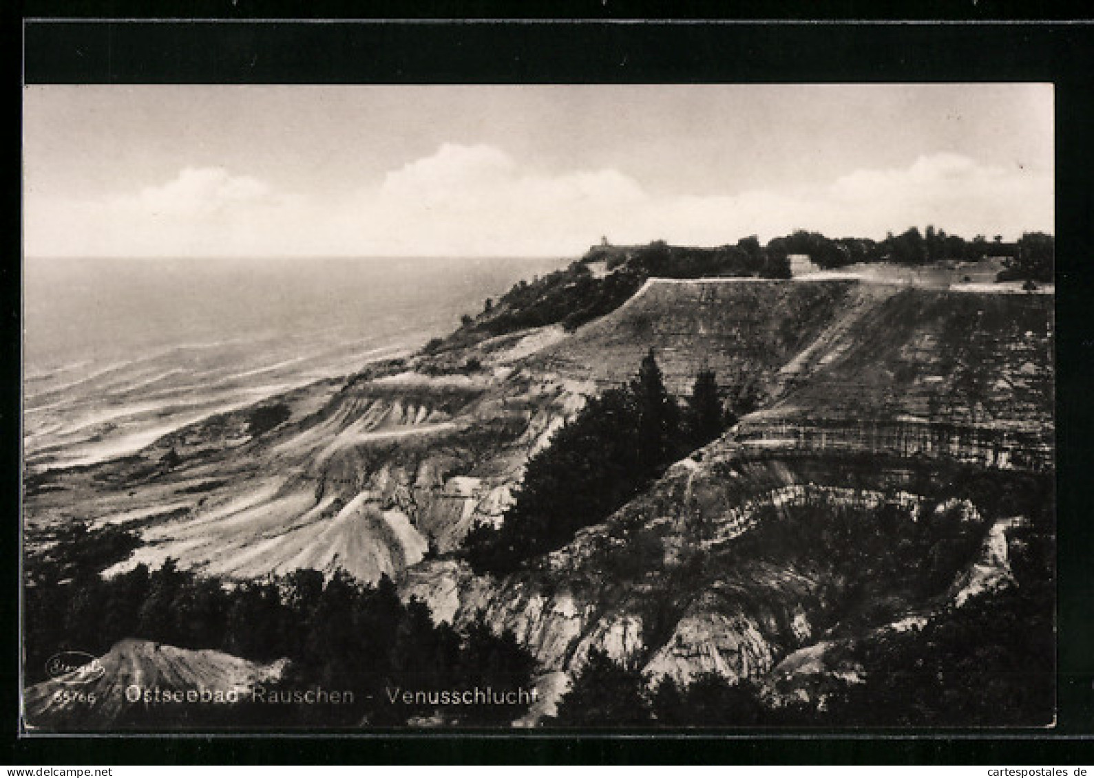 AK Rauschen /Ostsee, Die Venusschlucht  - Ostpreussen