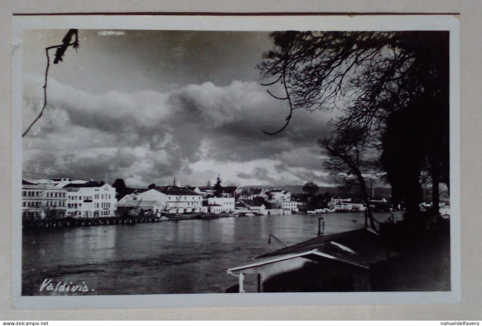 Carte Postale - Image De Valdivia, Chili. - Chili