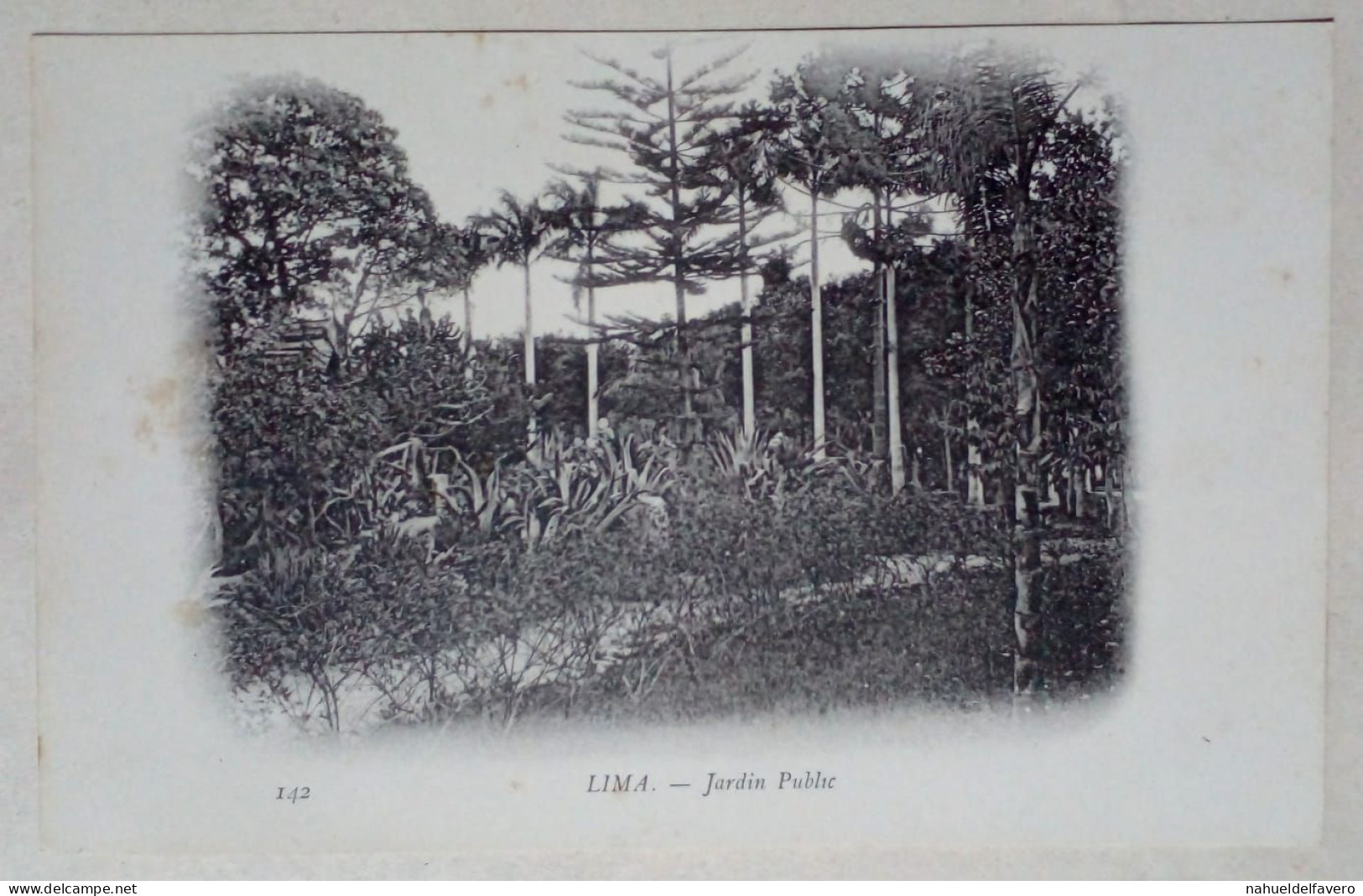 Carte Postale - Jardin Public, Lima, Pérou. - Perú