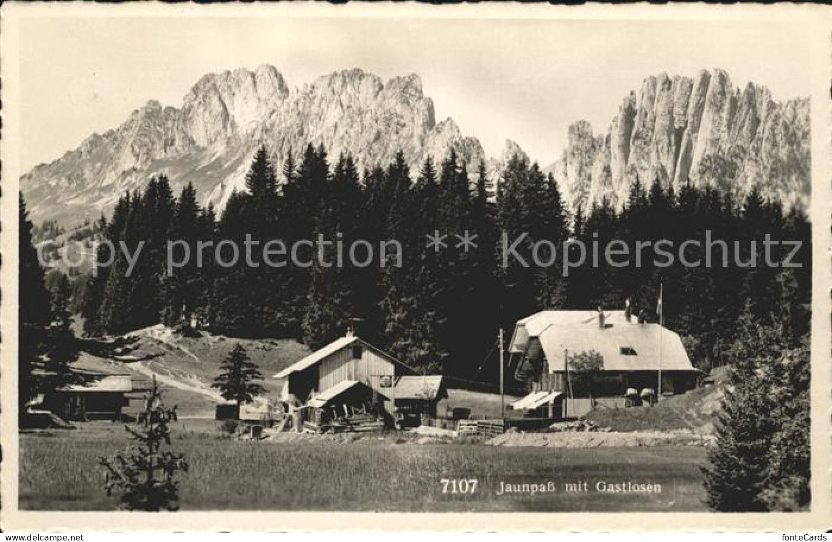 12056440 Jaunpass Mit Gastlosen Jaunpass - Autres & Non Classés