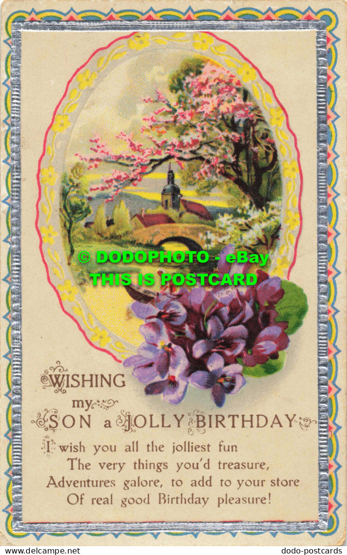 R557744 Wishing My Son A Jolly Birthday - Monde